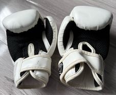 MMA kids gear, shorts, gloves shin guards
