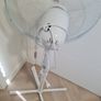 fan Image 2