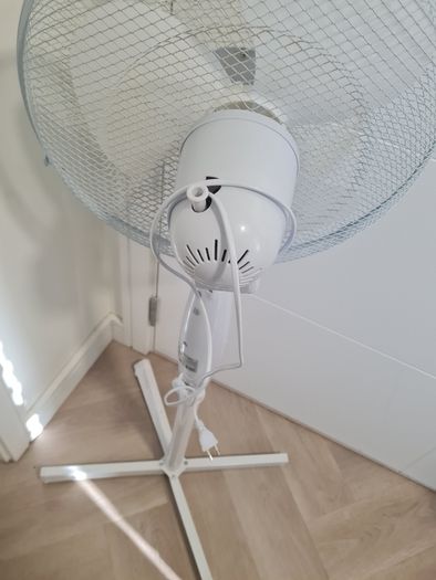 fan