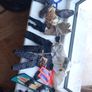 Vintage Action Man 1997 comes with box full set Collectable toys kids girls boys  toys superheroes figurines snowboard sleigh roller skates extra pairs of shoes  t-shirts shorts and body warmers backpack face mask and swings shovel fire throwers accessori Image 8
