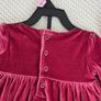 Gorgeous Carter's Baby velvet clothes Image 6