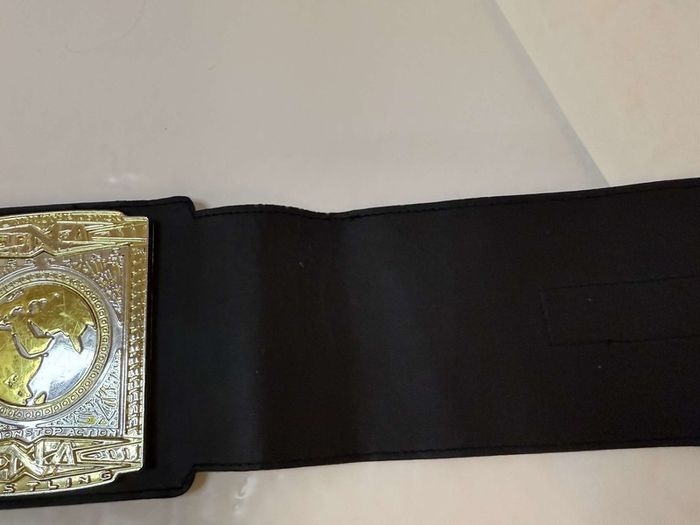 wwe Jakks specific TNA World heavyweight championship kids belt