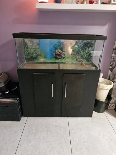 110L Fish Tank / Aquarium & Stand