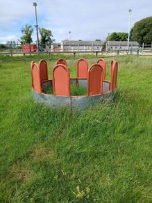 Ring horse feeder