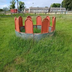Ring horse feeder
