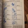 The Dairy Book Of Home Managment. Hardback In Good Condition. Image 9