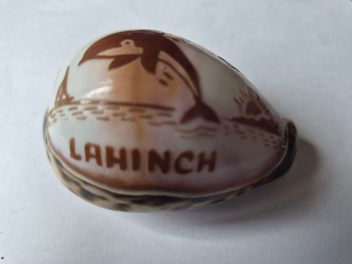 Shell ornament