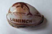 Shell ornament