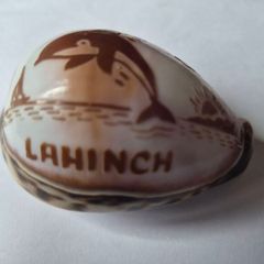 Shell ornament