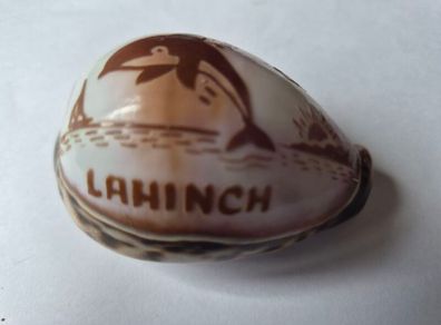 Shell ornament