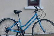 Dutch style bike