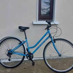 Dutch style bike