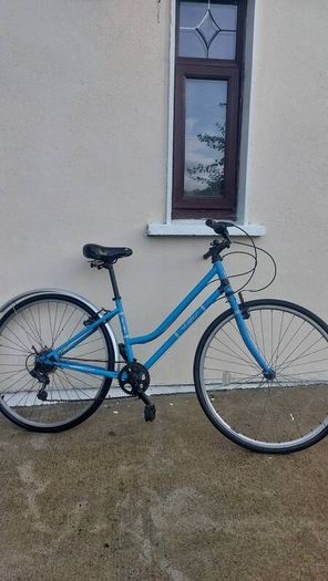Dutch style bike
