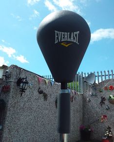 Everlast Double Spring Hyperflex Punching Ball on Stand