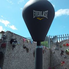 Everlast Double Spring Hyperflex Punching Ball on Stand