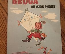 Broga an tsiog phoist / The Post Office Shoe Childrens Picture Book Sibeal Mac Anraoi in Irish as Gaeilge Gaelic Irish Language Educational