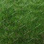 New HIGH Quality Artificial Grass Image 3