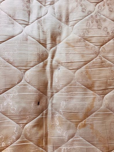 Free Mattress