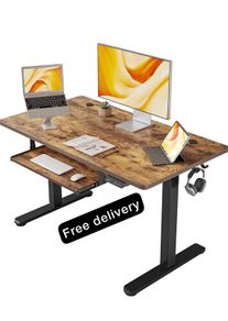 Electric Standing Desk 100x60
