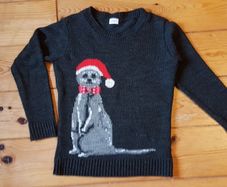Age 6-7 Christmas Meerkat Jumper