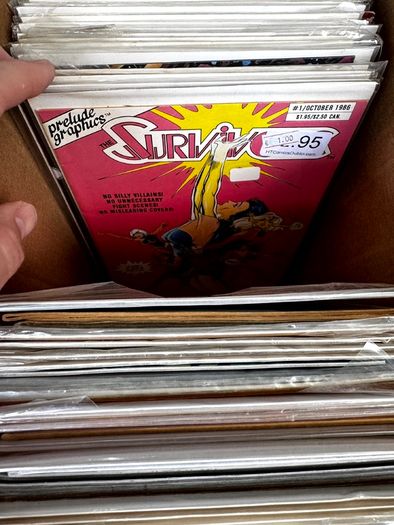 Indie Long Comic Box w 250 Comics for Sale