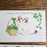 Saint Patrick's Day 2000 Postcards Brand New Image 2