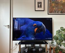Sony Bravia Xr - 55" 4k Oled Tv (a80j)