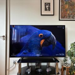 Sony Bravia Xr - 55" 4k Oled Tv (a80j)