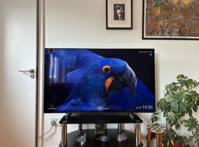 Sony Bravia Xr - 55" 4k Oled Tv (a80j)