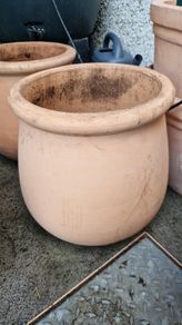 Belly pot