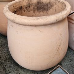 Belly pot