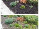 Garden maintenance Image 4