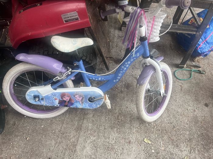 16 inch frozen bike