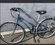 beautiful ladies raleigh bike