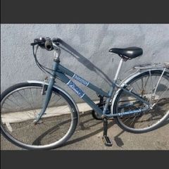 beautiful ladies raleigh bike