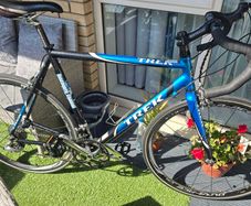 Trek Road Bike (special edition classic)