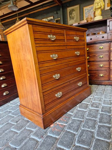 Chest