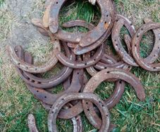 20 horse shoos