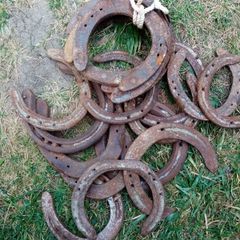 20 horse shoos