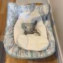 Ingenuity 3-in-1 Vibrating Baby Bounce Image 4