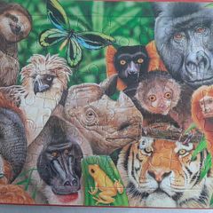New large 48 piece Endagered Animals Jigsaw Book