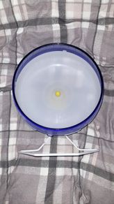 Silent spinner hamster wheel