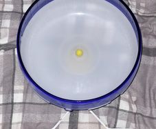 Silent spinner hamster wheel