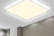 Ceiling Light LED Ceiling Lamp
