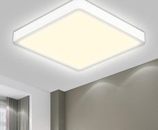 Ceiling Light LED Ceiling Lamp