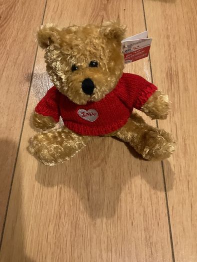 Small teddy Brand New with tags
