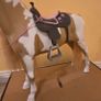 Horse our Generation Image 7