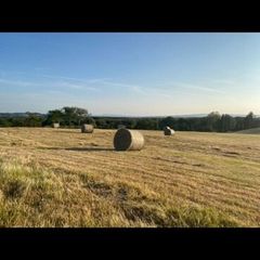 Organic hay 200 bails