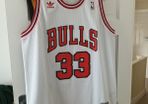 Chicago Bulls Nba Basketballl Pippen