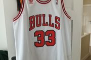 Chicago Bulls Nba Basketballl Pippen